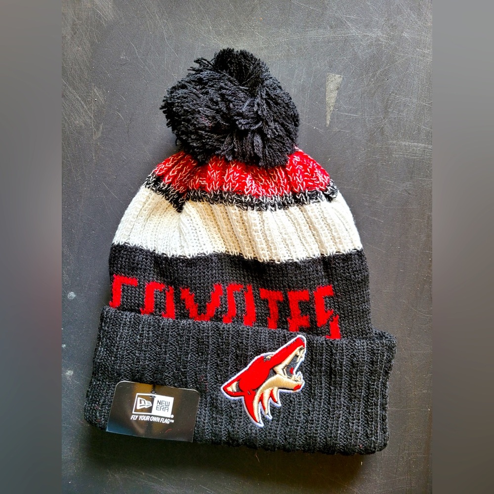 🖤🏒Arizona Coyotes NHL Beanie